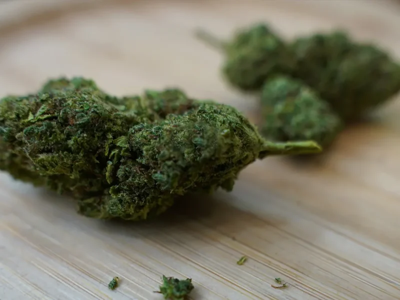 Explore the best delta 8 hemp flower for a Cleaner Smoke
